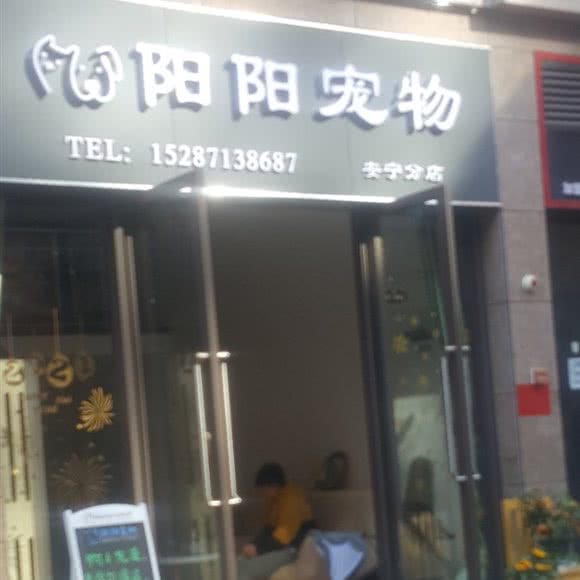 阳阳宠物狗:昆明市安宁市