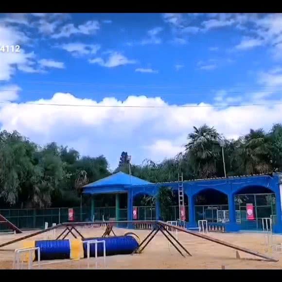 爱宠爱宠物乐园:昆明市安宁市