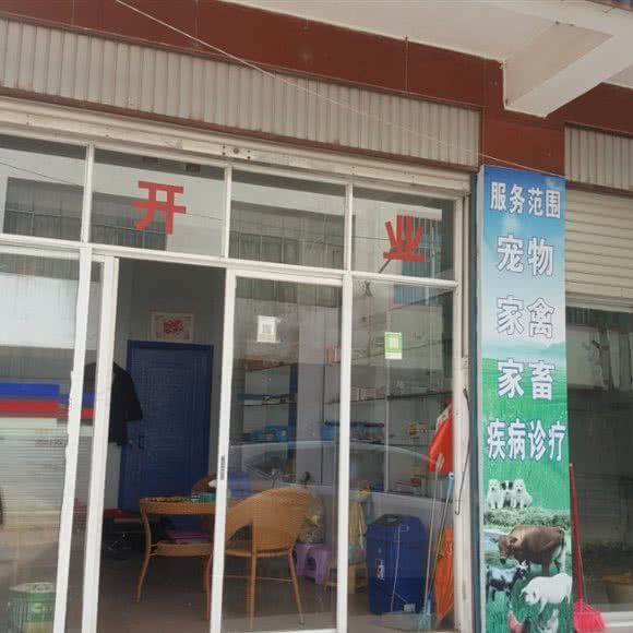 安宁向荣动物门诊部:昆明市安宁市
