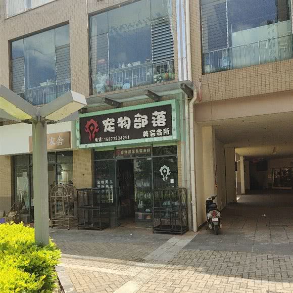 宠物部落美容会所:曲靖市师宗县