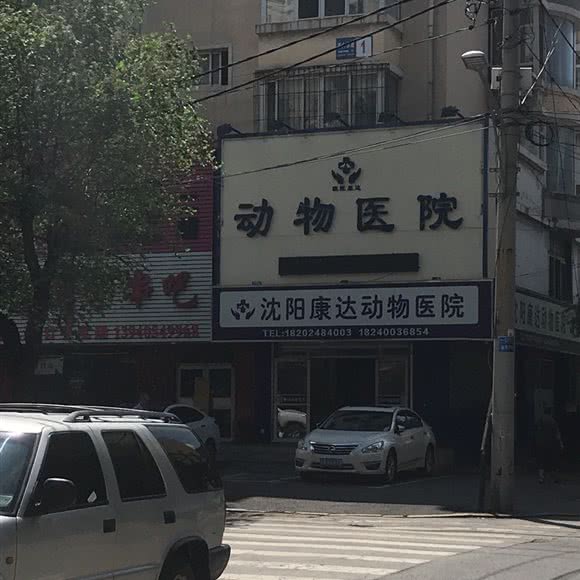 沈阳康达动物医院:沈阳市铁西区兴工街/沈阳站西广场附近