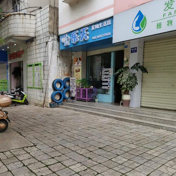 乐天宠物生活馆:玉溪市红塔区