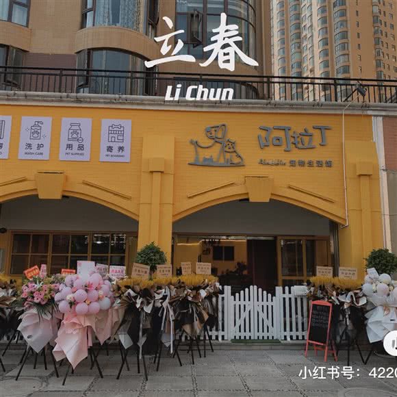 阿拉丁狗狗生活馆:玉溪市红塔区