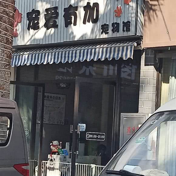宠爱有加宠物馆:玉溪市通海县