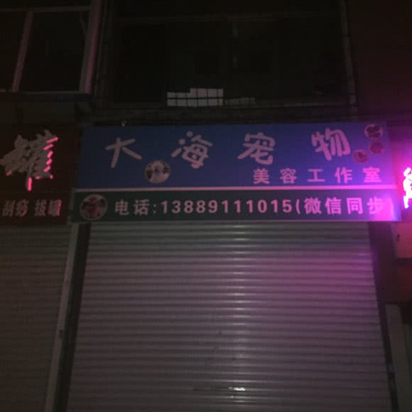 大海宠物美容工作室:沈阳市铁西区滑翔小区附近