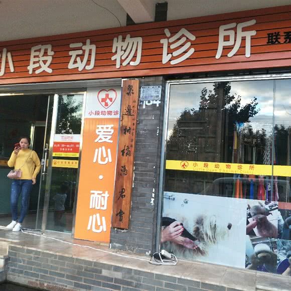 小段动物诊所:玉溪市华宁县