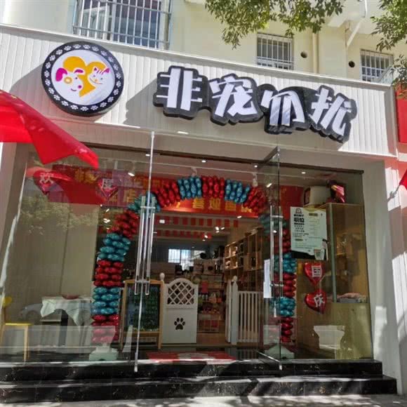 非宠勿扰《彩蝶店》:保山市隆阳区
