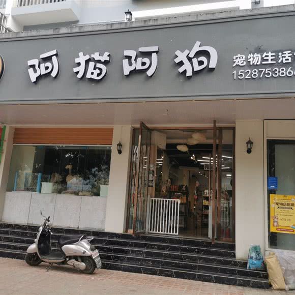 阿猫阿狗宠物生活馆:保山市隆阳区