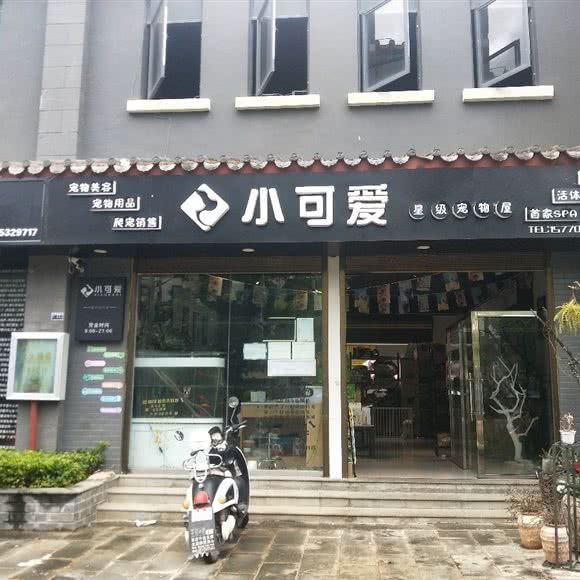 小可爱星级宠物屋(施孟路店):保山市施甸县