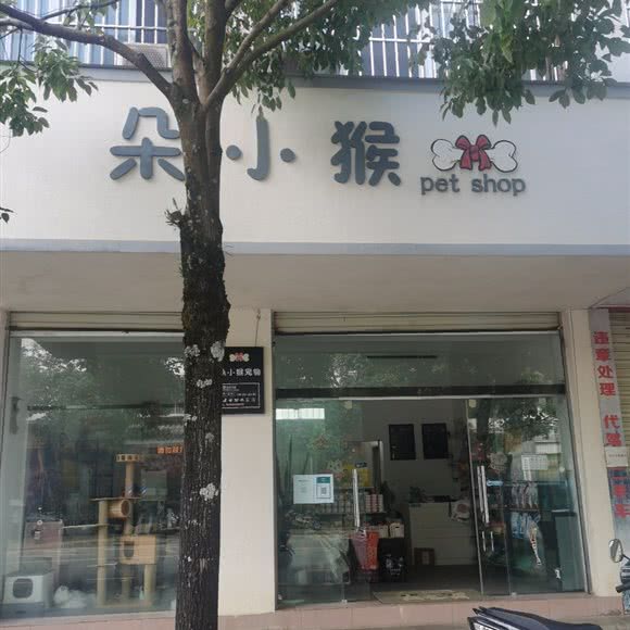 朵小猴:保山市龙陵县
