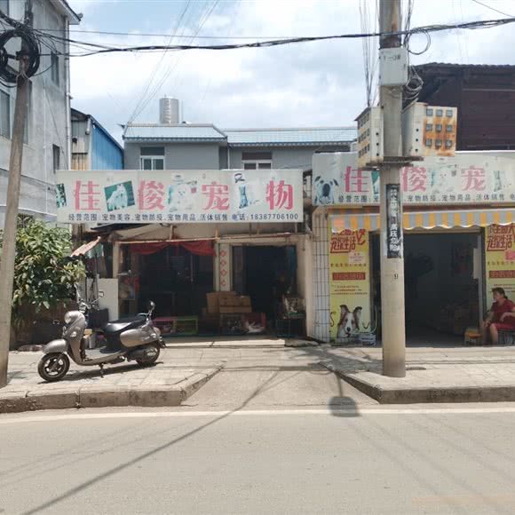 佳俊宠物店:普洱市景东彝族自治县