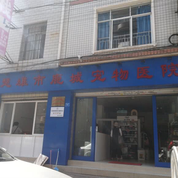 楚雄市鹿城宠物医院(铜牛店):楚雄彝族自治州楚雄市
