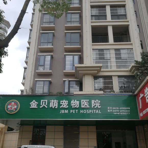 金贝萌宠物医院:楚雄彝族自治州楚雄市