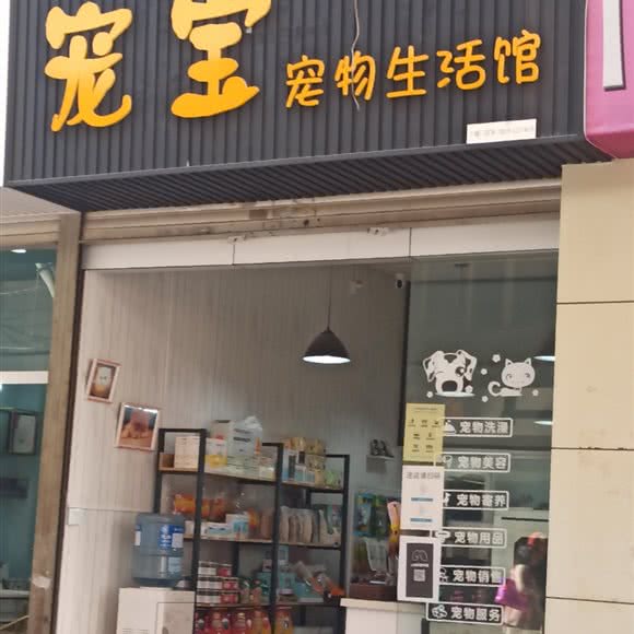 宠宝狗狗生活馆:红河哈尼族彝族自治州个旧市
