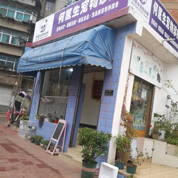 何医生宠物诊所:红河哈尼族彝族自治州个旧市