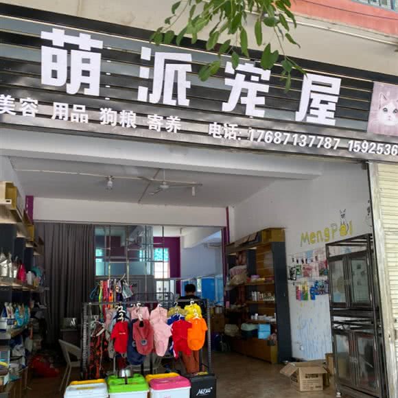 萌派宠屋:红河哈尼族彝族自治州开远市