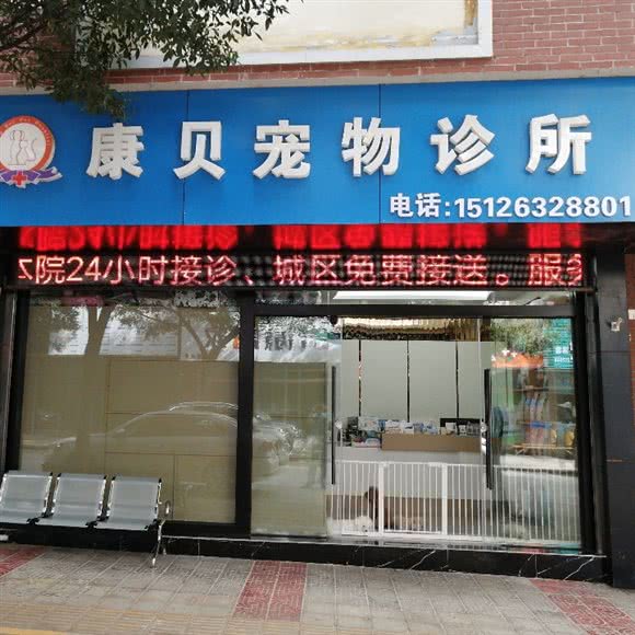 康贝宠物诊所:红河哈尼族彝族自治州弥勒市
