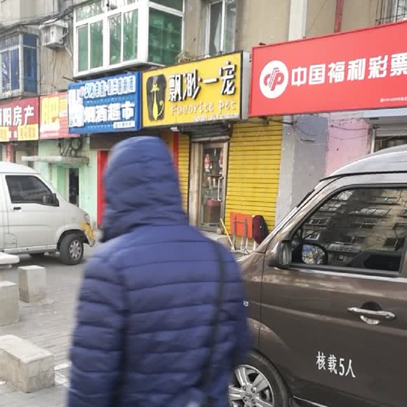 飘渺一宠宠物店:沈阳市铁西区兴隆大都汇附近