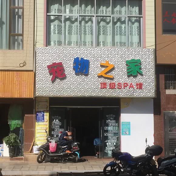 宠物之家:红河哈尼族彝族自治州泸西县