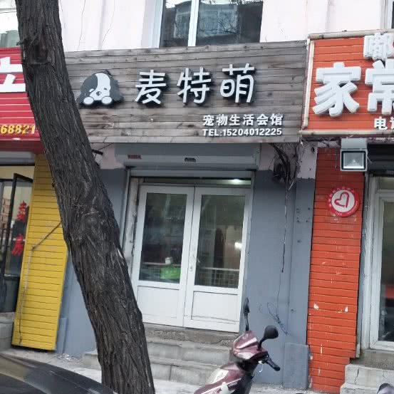 麦特萌宠物生活会馆:沈阳市铁西区兴隆大都汇附近