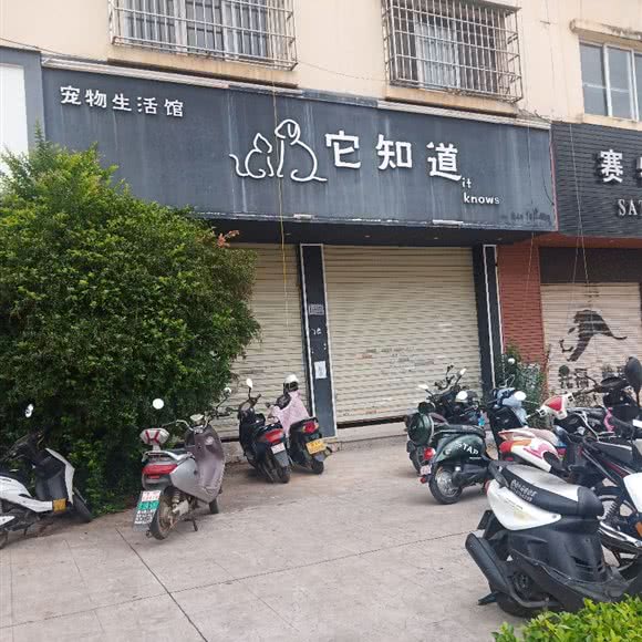 它知道宠物生活馆:文山壮族苗族自治州文山市