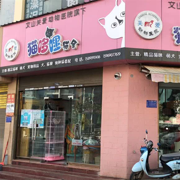猫哆哩宠物店:文山壮族苗族自治州文山市