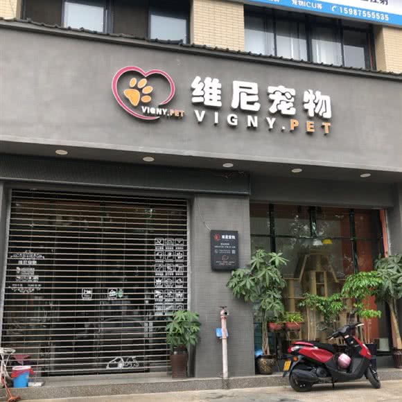 维尼宠物(城投店):文山壮族苗族自治州马关县