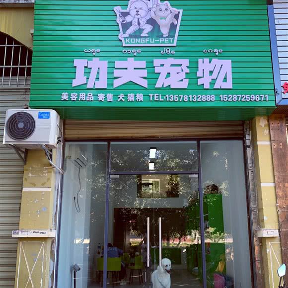 功夫宠物:西双版纳傣族自治州景洪市