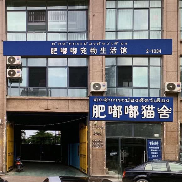 肥嘟嘟宠物生活馆:西双版纳傣族自治州景洪市