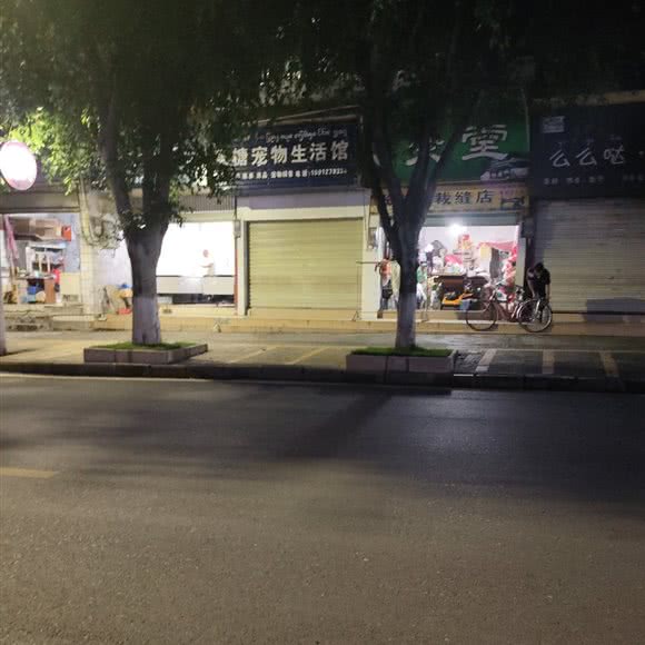 果糖宠物生活馆:西双版纳傣族自治州勐海县