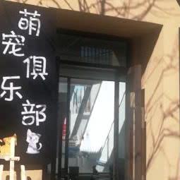 萌宠俱乐部:大理白族自治州大理市