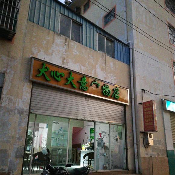 犬心犬意面包店:大理白族自治州大理市
