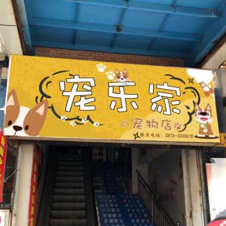 宠乐家宠物店(正阳子河茶街店):大理白族自治州大理市