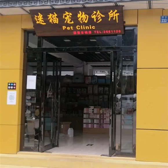 迷猫宠物诊所:大理白族自治州大理市