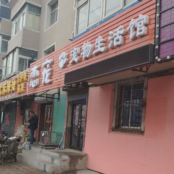 恋宠宠物生活馆:沈阳市铁西区艳粉地区附近