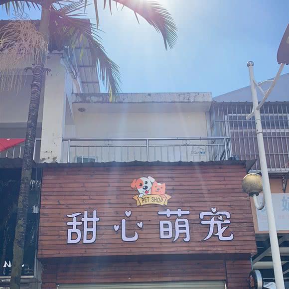 甜心萌宠:德宏傣族景颇族自治州芒市