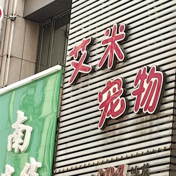 艾米宠物:沈阳市铁西区艳粉地区附近