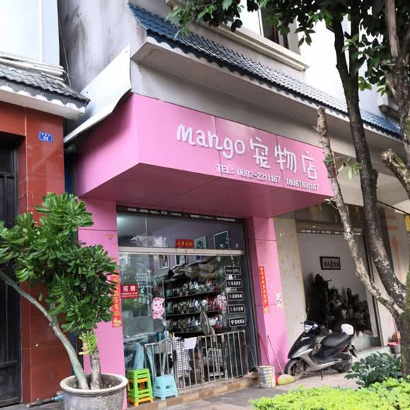 mango宠物店:德宏傣族景颇族自治州芒市