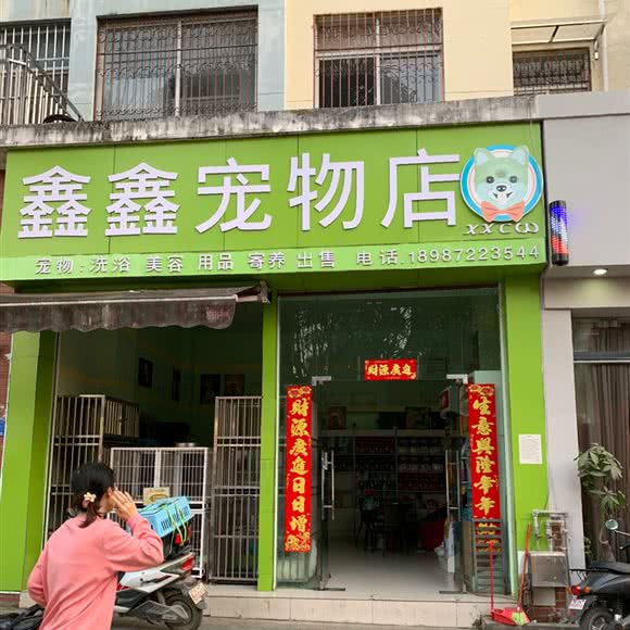 鑫鑫宠物店:德宏傣族景颇族自治州芒市