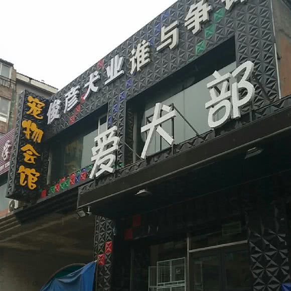 俊彦犬业:沈阳市铁西区艳粉地区附近