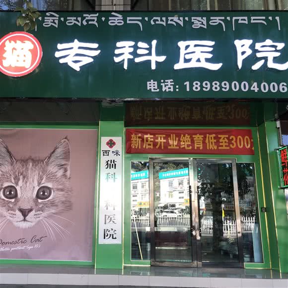 西咪猫科专科医院:拉萨市城关区