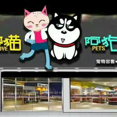 阿猫阿狗:拉萨市堆龙德庆区