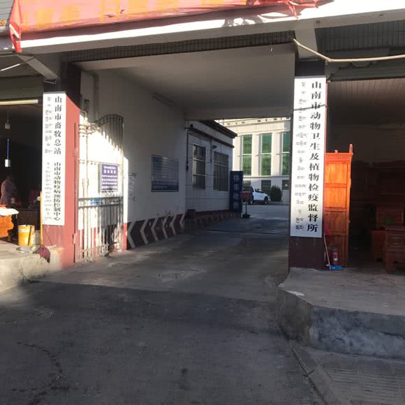 山南市畜牧总站:山南市乃东区