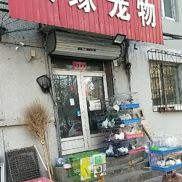 天缘宠物狗:沈阳市铁西区劳动公园附近