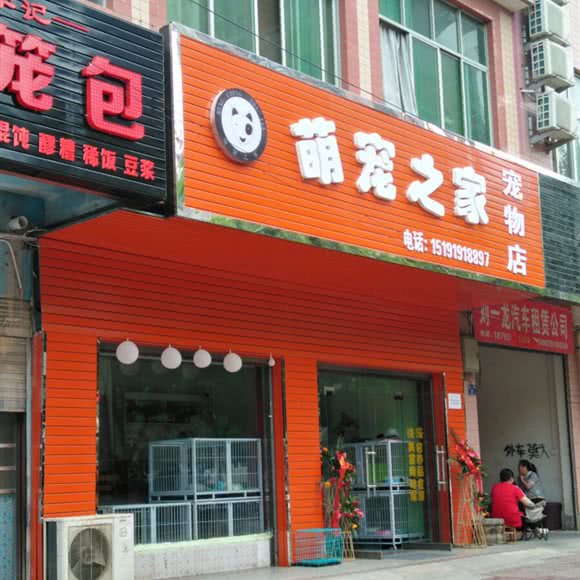 萌宠之家宠物店:西安市高陵区