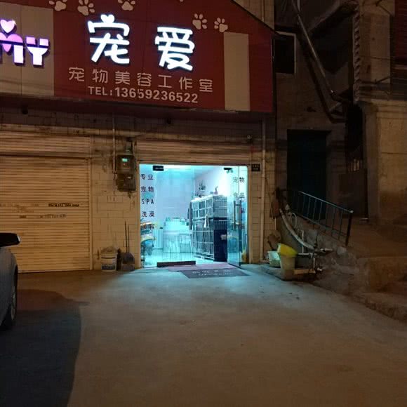 宠爱宠物美容工作室(泾渭路店):西安市高陵区