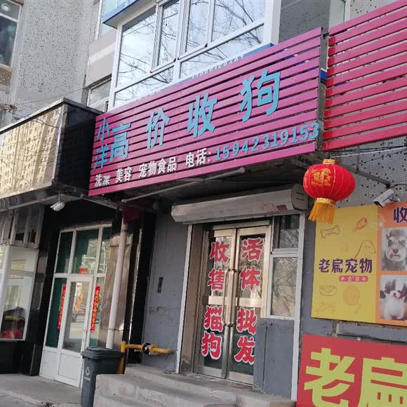 小洋高价收狗:沈阳市铁西区劳动公园附近