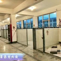 珍爱宠物酒店:西安市鄠邑区