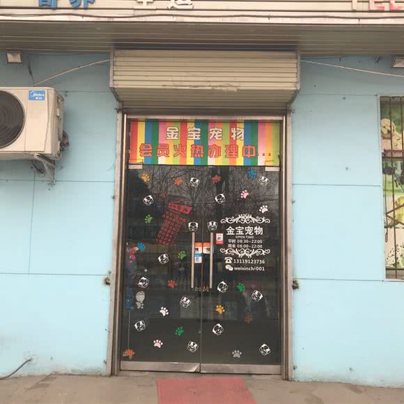 金宝宠物(车站北路):西安市鄠邑区