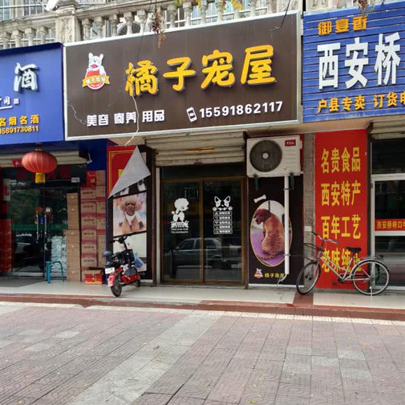 橘子宠屋:西安市鄠邑区